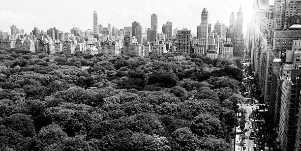 istock NYC Skyline,Central Park.Black And White. 177636595