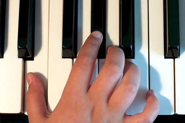 istock Piano keys. Musician 177638647