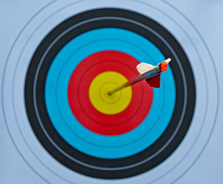 single arrow shot in the center focus on arrow