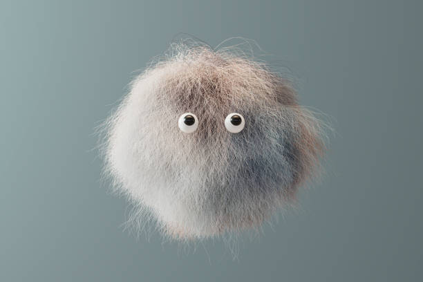 istock Hairy emoji sphere shaped fur 1776387334