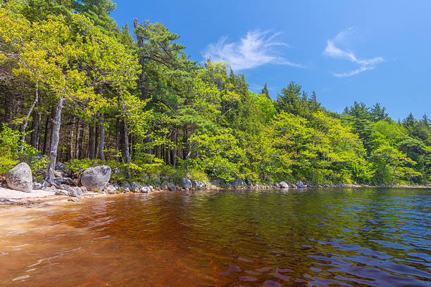 istock Shore of Lake 177638796
