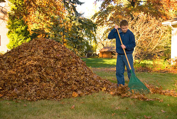 teen boy dans les feuilles de cumuler blue sweat-shirt - râteau photos et images de collection