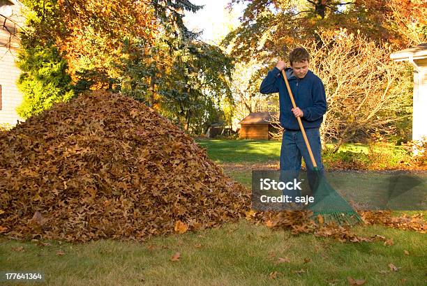 Raking Leaves Teen Boy In Blue Sweatshirt Stock Photo - Download Image Now - Leaf, Rake, Autumn