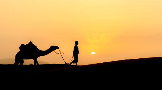 Silhouette of unidentified Berber man leading camel in Sahara Desert