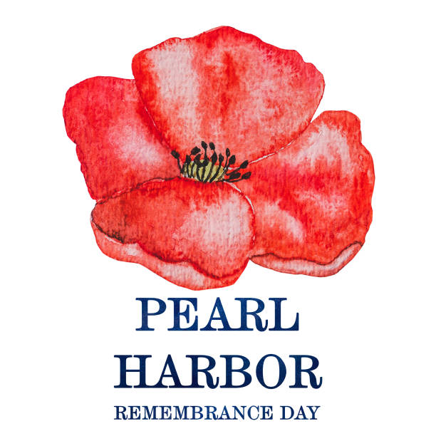 ilustraciones, imágenes clip art, dibujos animados e iconos de stock de día del recuerdo de pearl harbor. hermosa tarjeta. closeup - 15838