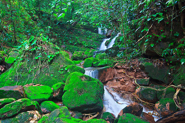 Beautiful Sai Thip Waterfall  Phu Soi Dao National Park, Uttaradit,Province Thailand
