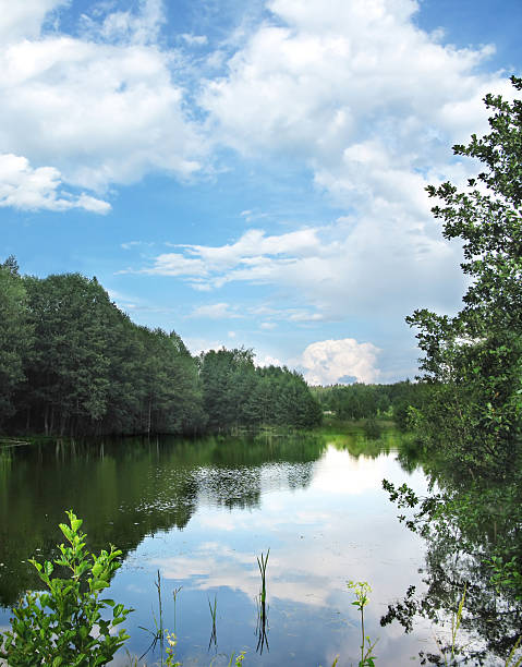 istock reflection of the sky in water 177643661