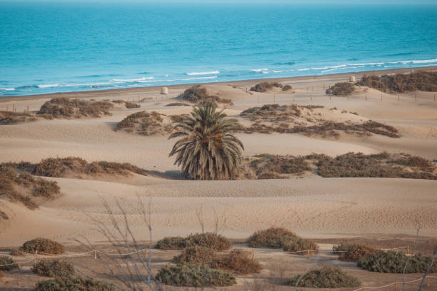 istock Maspalomas dunes view on Gran Canaria, Canary Islands, Spain 1776446480