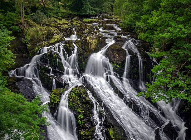 istock Waterfall and woodland scene 177646622