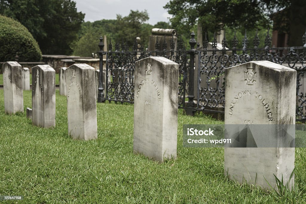 Soldado Desconhecido Tombstone - Royalty-free Anel de árvore Foto de stock