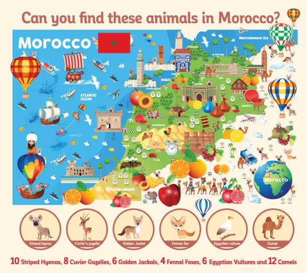 Vector illustration of Find the hidden animals on the map? 
Morocco Crossword