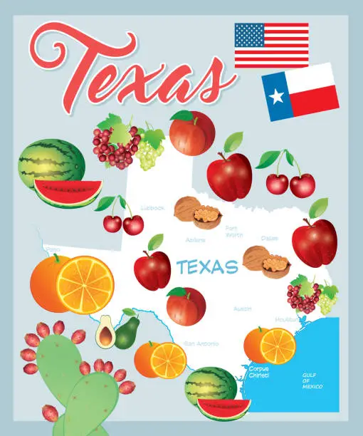 Vector illustration of Texas Fruits Map