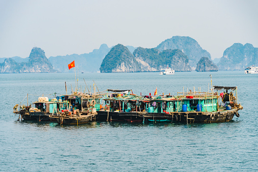 Houses built on floating platforms at the Cua Van Floating Village, Halong Bay, Vietnam