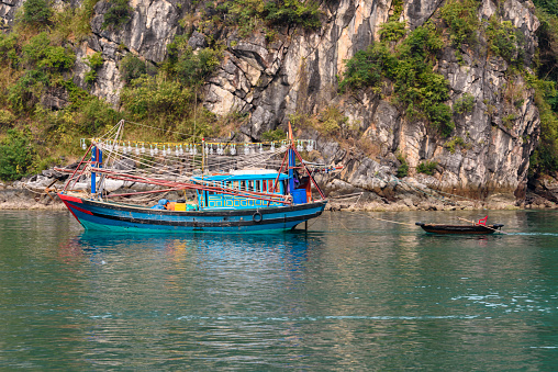 Fishermen finshing in the morning with cormorants,Guilin,Guangxi,China.