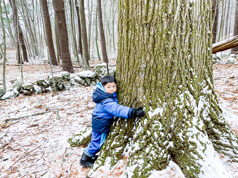The boy observes the texture of the tree trunk and gets close to nature