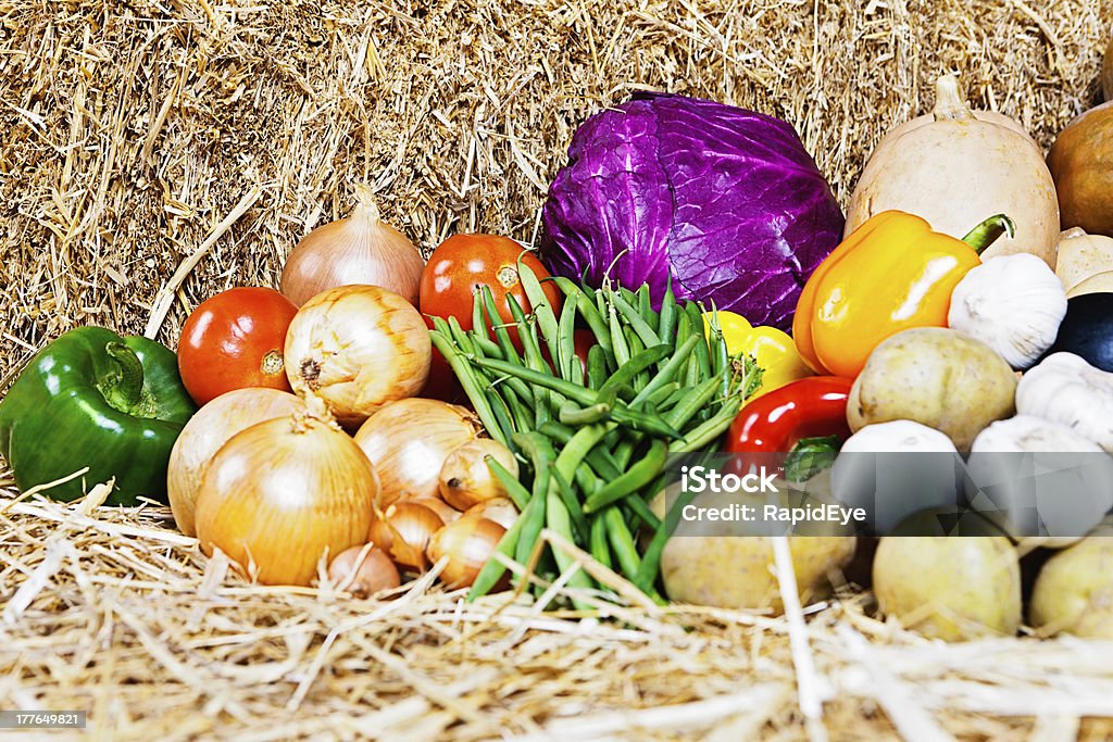 Fresco y saludable: Variedad de verduras disponer de paja - Foto de stock de Abundancia libre de derechos