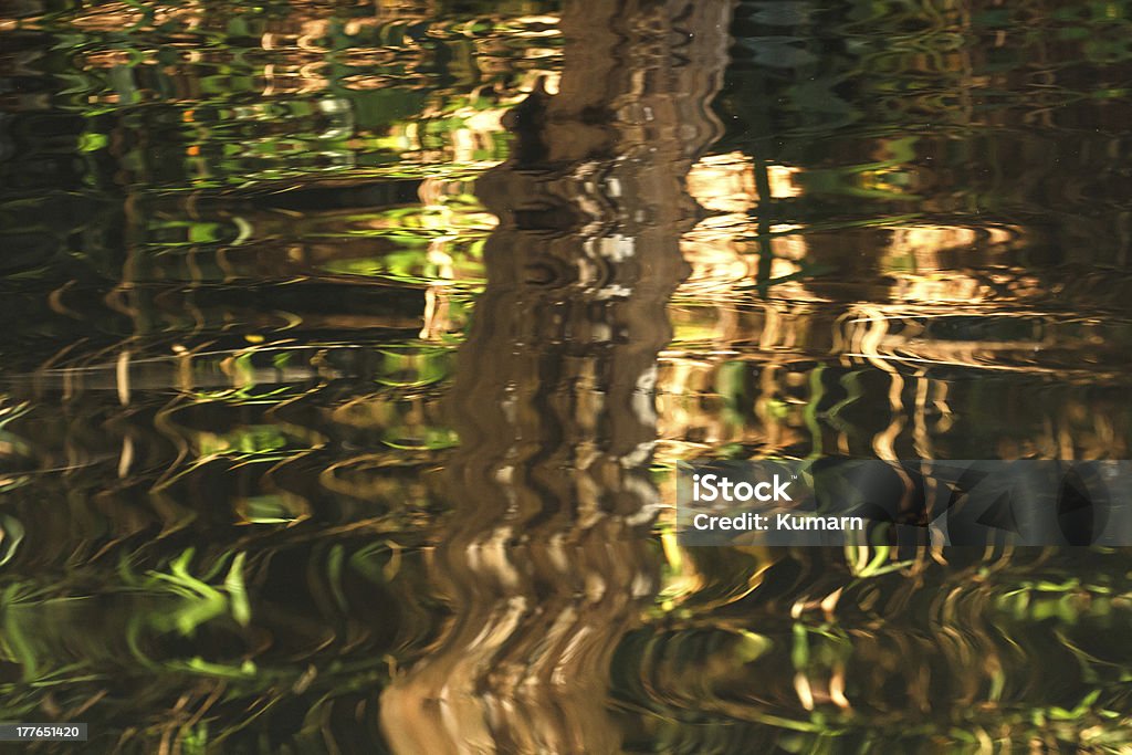 Patrón de reflejo - Foto de stock de Abstracto libre de derechos