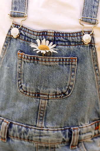 Denim overalls with one daisy in the pocket. The concept of showcasing a casual and fun style of clothing or accessories.
