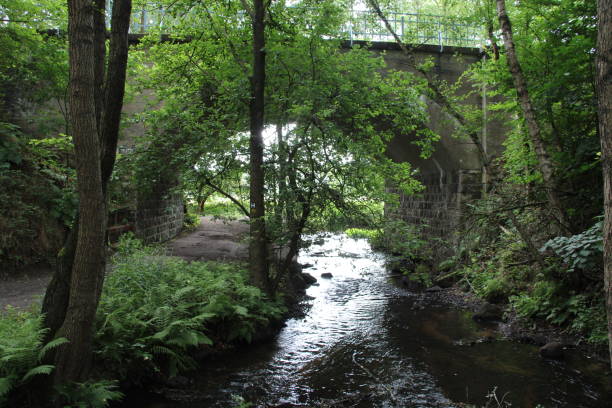 istock Railway arch over a river in lush forest 1776521631