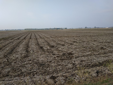 barren agricultural land, the dry season causes agricultural land to become barren, long dry periods, the land cracks due to drought