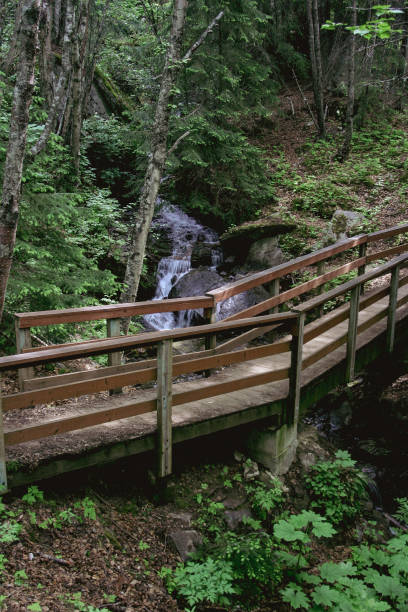 istock Wooden bridge in the wood 1776539603