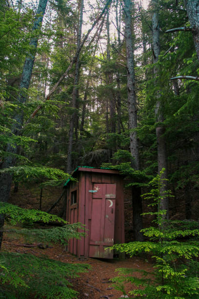 istock Small cabin in the middle of trees 1776540168