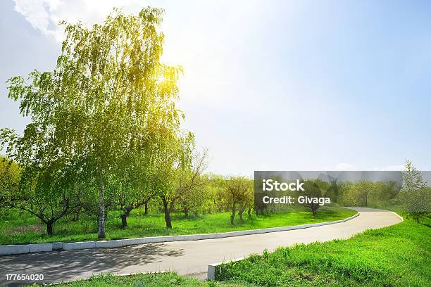 Strada Asfaltata In The Park - Fotografie stock e altre immagini di Albero - Albero, Orizzonte, Screziato