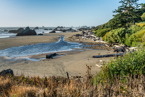 A scenic view of Harris State Park in Brookings, Oregon.