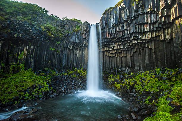 svartifoss, black waterfall, iceland - skaftafell national park stockfoto's en -beelden