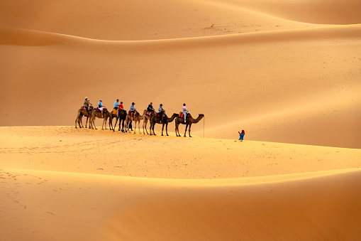 tourists and undefined woman on camels ride with Bedouins along the coast of the golden city famous for its sunsets and Blue Hole. Dahab, Red Sea, Sinai Peninsula, Egypt