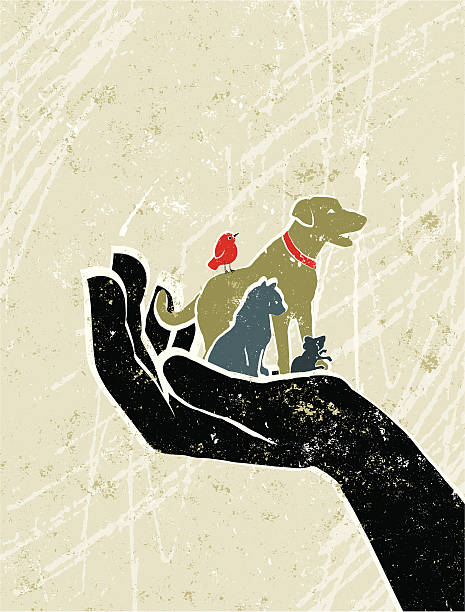 Pets, Dog, Cat, Mouse and Bird in Giant Protective Hand Animal Welfare! A stylized vector cartoon of tiny pets in a giant hand, reminiscent of an old screen print poster and suggesting protection, animal welfare or pet insurance. Dog, cat, bird, mouse, paper texture, and background are on different layers for easy editing. Please note: clipping paths have been used, an eps version is included without the path. animal welfare stock illustrations