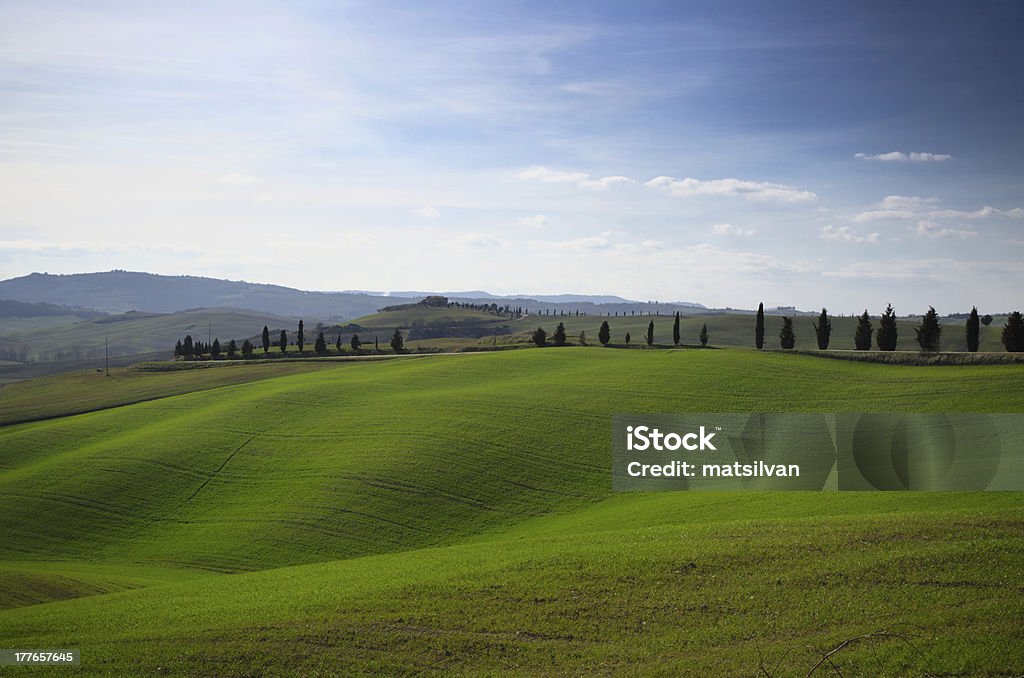 Vista panorámica sobre el campo - Foto de stock de Agricultura libre de derechos