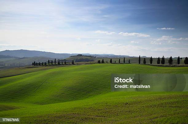 フィールドを見晴らすパノラマに広がる眺め - イタリアのストックフォトや画像を多数ご用意 - イタリア, イトスギ, カラー画像