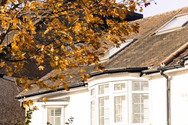 Maple leaves are located in the residential area