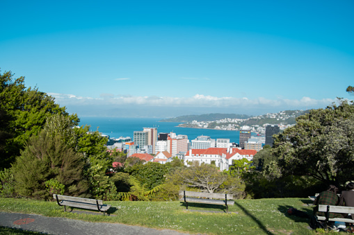 A view of Wellington city near the airport, with the blue ocean and strong winds.
