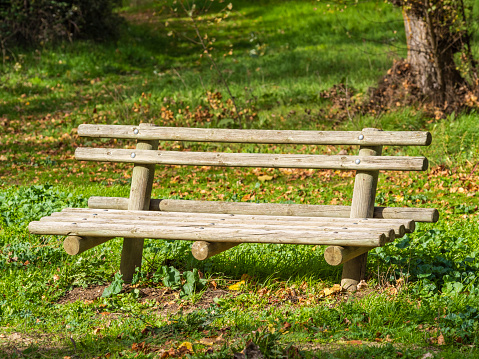 Wooden Bench in a wildflower garden. Square composition.