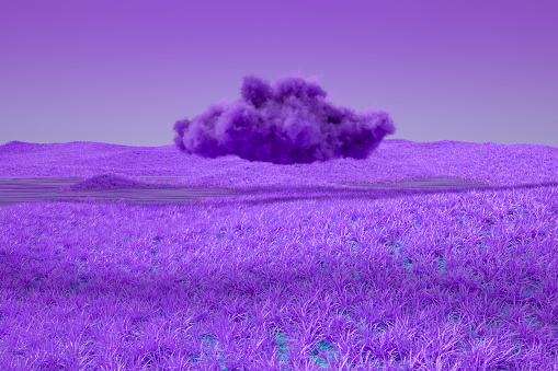 Surreal landscape with purple grass and cloud. Digitally generated image.