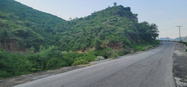 istock a road with some dirt and bushes by a mountain side 1776642988