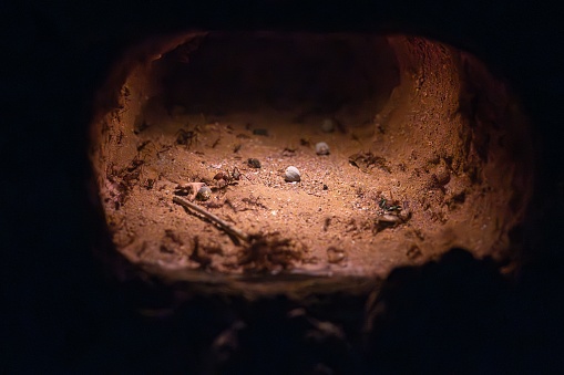 Detail of an anthill underground, cave and housing for ants