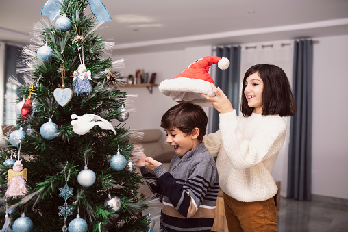 Two brother boys decorate the Christmas tree at home and play together