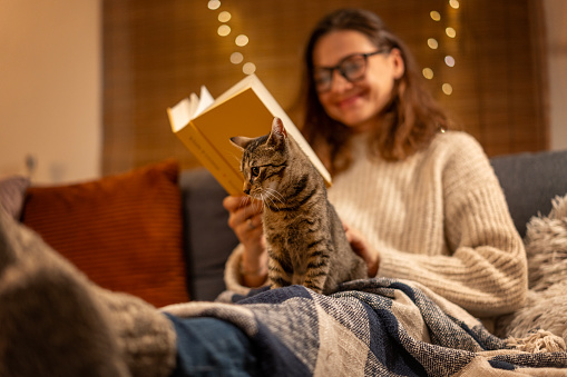 A young woman spends a cozy winter evening at home sitting on the sofa with a gray cat in her arms reading a book