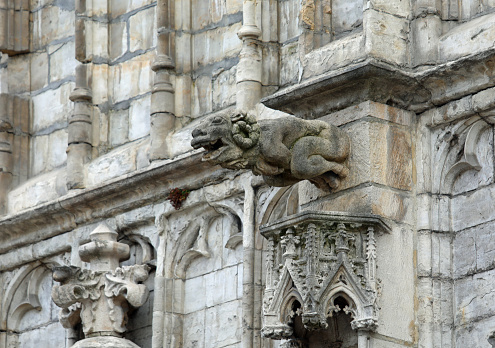 monstrous gargoyle statues in gothic historic building