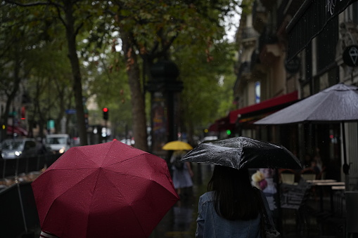 Pedestrians with umbrellas in rainy Paris.