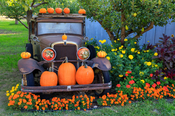 An old antique car with pumpkin and flower display located at anorganic fruit stand in Keremeos, British Columbia, Canada. Thanksgiving and Halloween autumn harvest.
