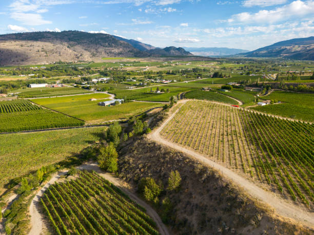 istock Okanagan Valley Winery Vineyard British Columbia 1776739510