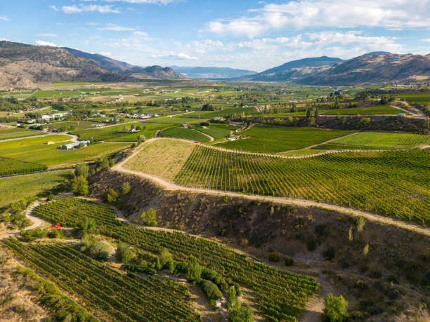istock Okanagan Valley Winery Vineyard British Columbia 1776741589