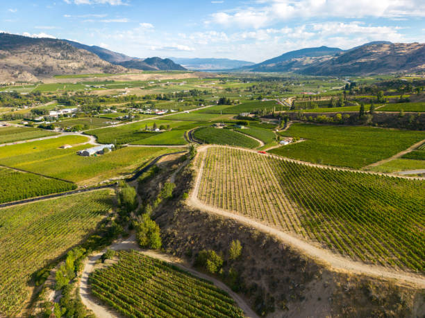 istock Okanagan Valley Winery Vineyard British Columbia 1776745946