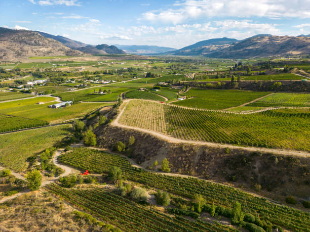 istock Okanagan Valley Winery Vineyard British Columbia 1776747064