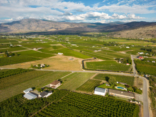 istock Okanagan Valley Winery Vineyard British Columbia 1776748629