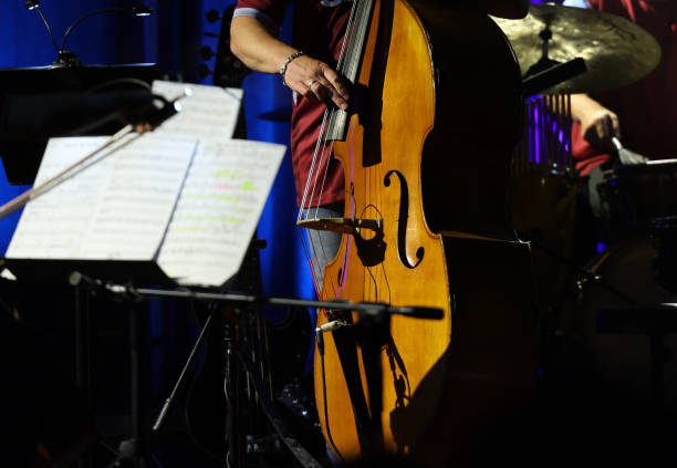 istock Double bass on the stage during the concert 1776755789
